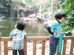 20多個自閉癥孩子在家長的陪伴下，走進了天津市“熱帶植物園”