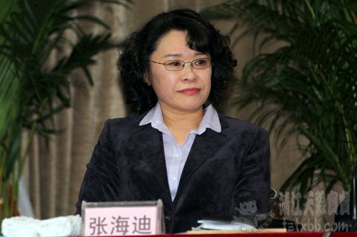 張海迪在2012孤獨癥服務機構負責人聯席會議上的講話
